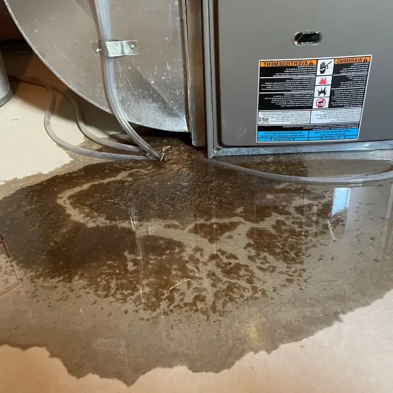 Pipe Burst and Leak Restoration in Loudoun Valley Estates, VA